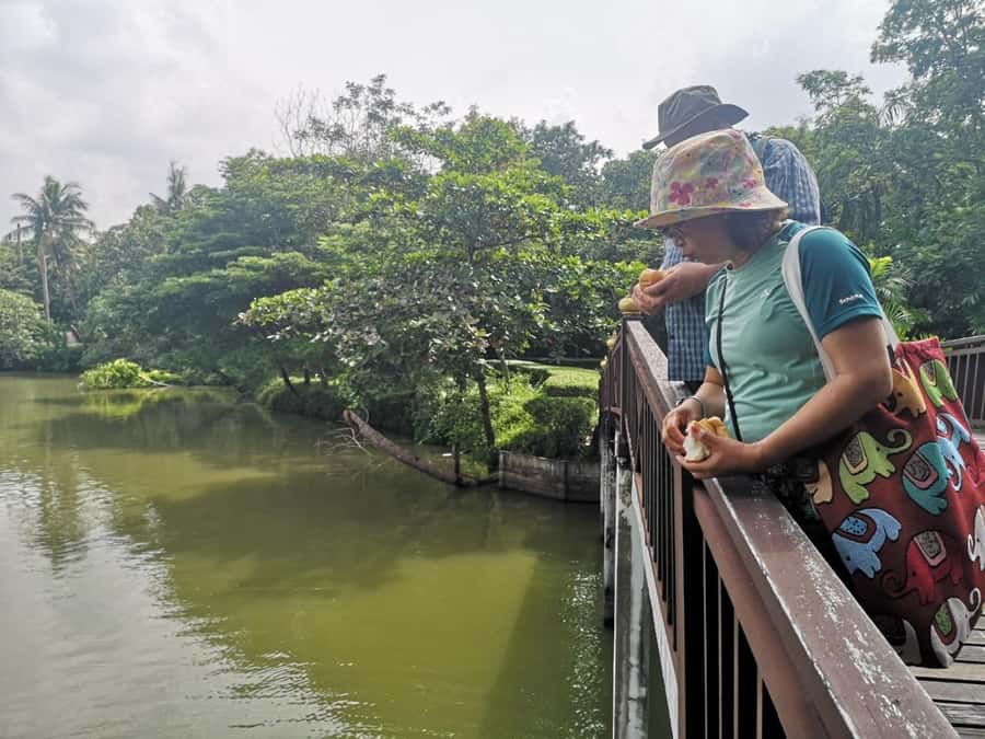Tuk-Tuk, Longtail-boat and Rickshaw Bangkok jungle Tour - Bang Krachao is green, but not jungle