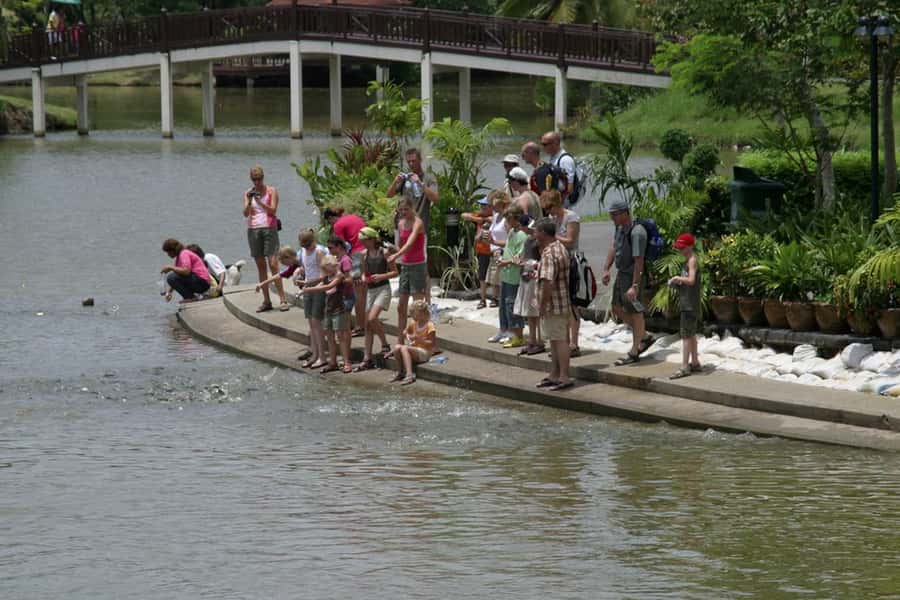 Tuk-Tuk, Longtail-boat and Rickshaw Bangkok jungle Tour - Lunch makes the five-hour price easier to justify