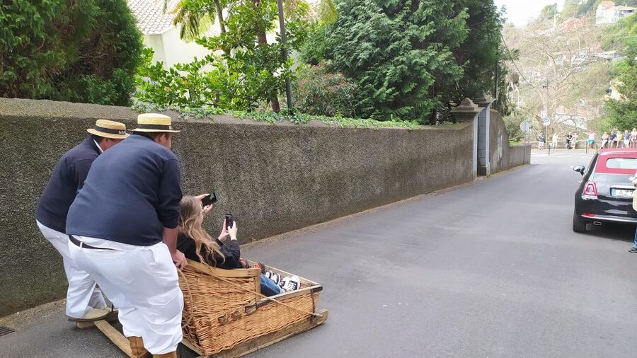 Tuk Tuk Monte Toboggan - Madeira Island - Key points before you book