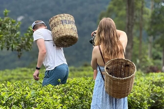 Tuk Tuk Nuwara Eliya Tea Falls Adventure - Key points at a glance