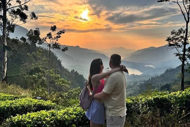 Tuk Tuk Nuwara Eliya Tea Falls Adventure - What the guide can add to the day