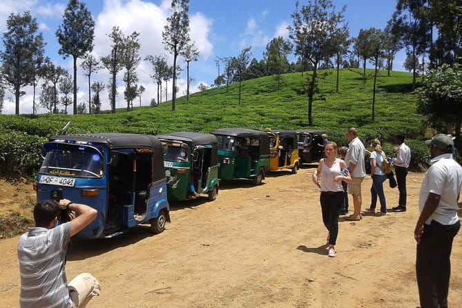 Tuk Tuk safari and Picnic in The Tea Plantation from Ella,Haputale & Bandarawela - Setting out from Ella, Haputale, or Bandarawela