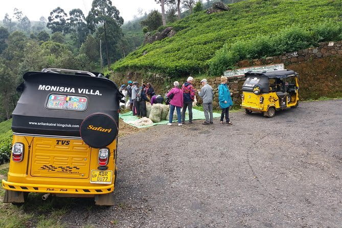 Tuk Tuk safari and Picnic in The Tea Plantation from Ella,Haputale & Bandarawela - The ride through Sri Lanka’s tea country