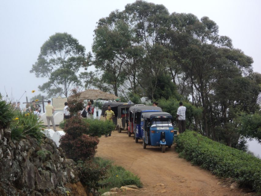 Tuk-Tuk Safari Liptons seat,Tea Fields Hike,TeaFactory Tour - Is $60 a fair price?