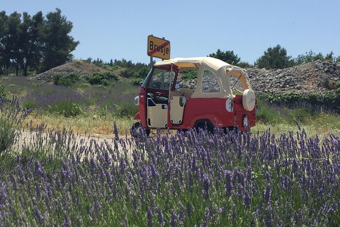 Tuk Tuk Sightseeing Tour of Hvar - Key points at a glance
