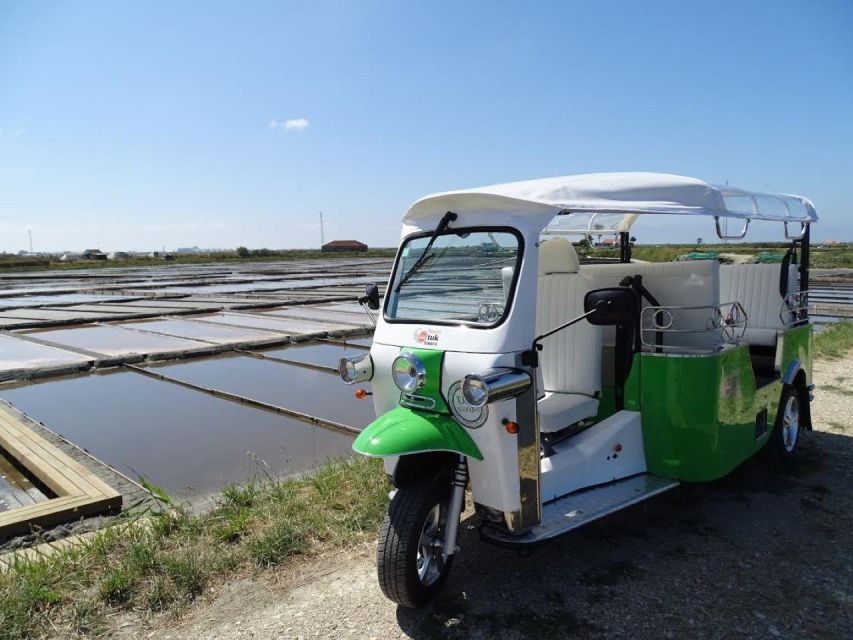 Tuk Tuk Tour in Aveiro - The salt pans and the safra do sal