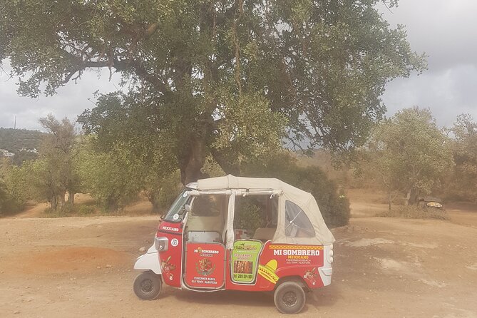 Tuk tuk tour- the best way to see coast and country side - A private price that works best for three people