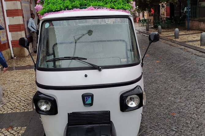 Tuk Tuk Transfer With Sintra Pena Ticket From Meeting Point - Who will find this useful