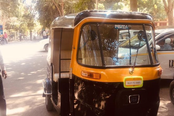 Udaipur Full Day Sightseeing Tour By Tuk Tuk - Lake Pichola gives you the classic Udaipur view