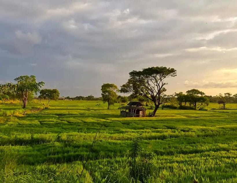 Unseen Sigiriya: Village & Rock Viewpoints by Tuk Tuk - Why the Photo Stops Matter