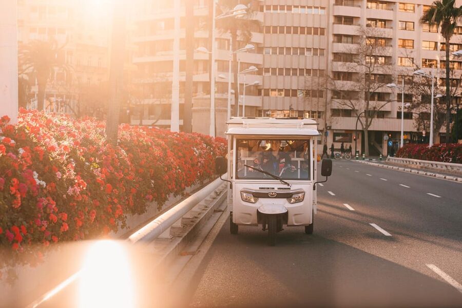Valencia 1 hour by TukTuki: Essential and Private Tour - Key points to know before you book
