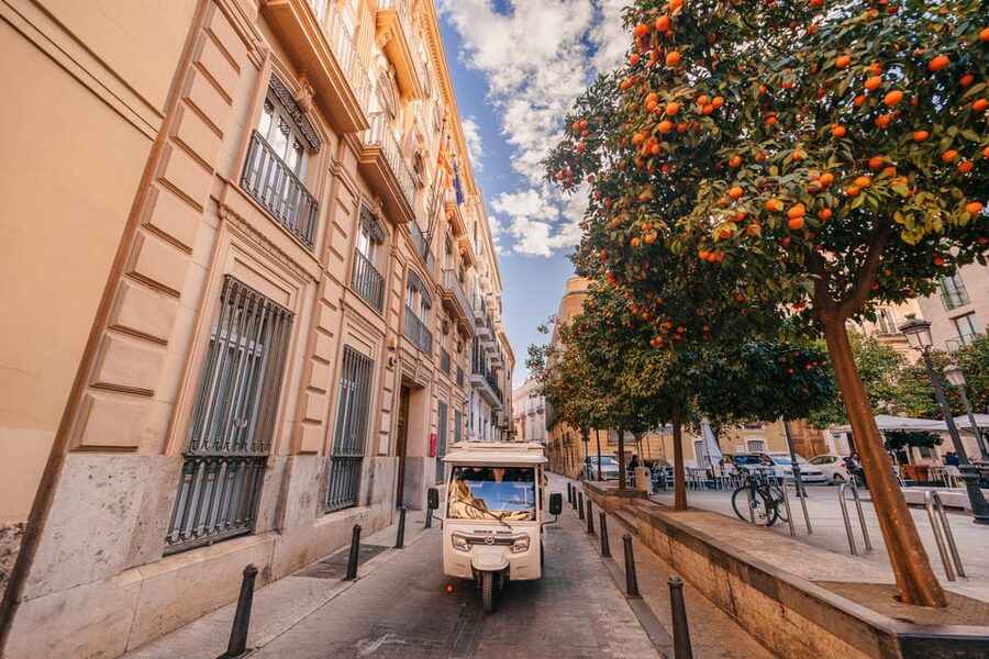Valencia 1 hour by TukTuki: Essential and Private Tour - Las Arenas and the city’s coastal character