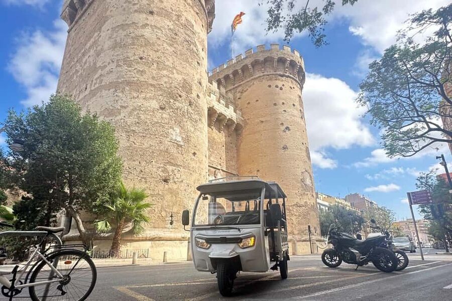 Valencia: 1-hour Historical Tour in a Tuk Tuk - Languages and Guide Quality