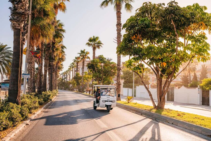 Valencia: 1-hour Private Tuk Tuk Tour - Why a tuk tuk works well in Valencia