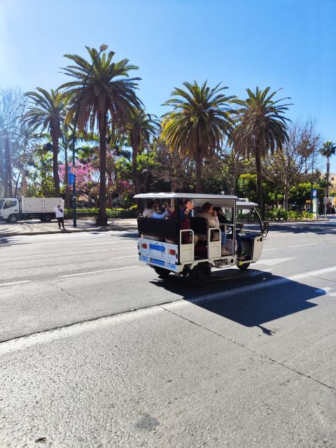Valencia: 2-hour City Highlights Guided Tour by Tuk Tuk - Mercado de Colón and Valencia’s social side