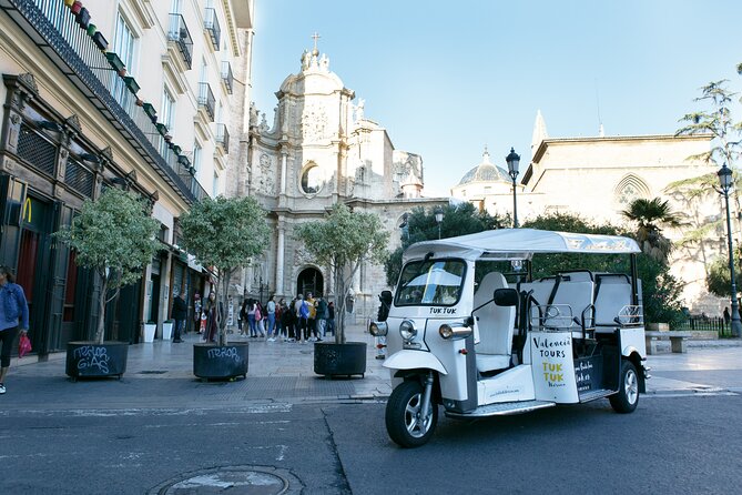 Valencia Complete Tour by Tuk Tuk - Art, music, and the Turia riverbed