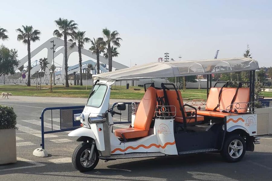 Valencia: Tuk Tuk City Tour - What the Private Format Adds