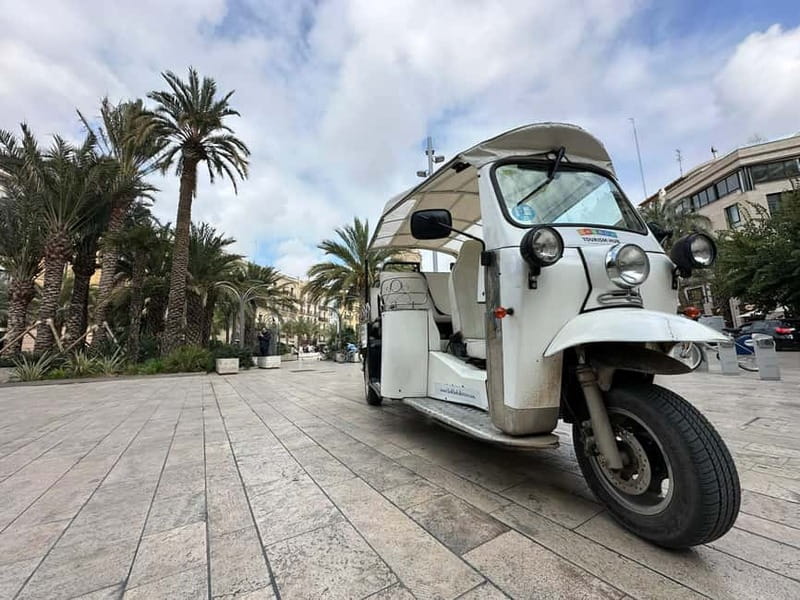 Valencia: Visit the Historic Center of Valencia by Tuk Tuk - Why a Tuk-Tuk Works Well in Valencia