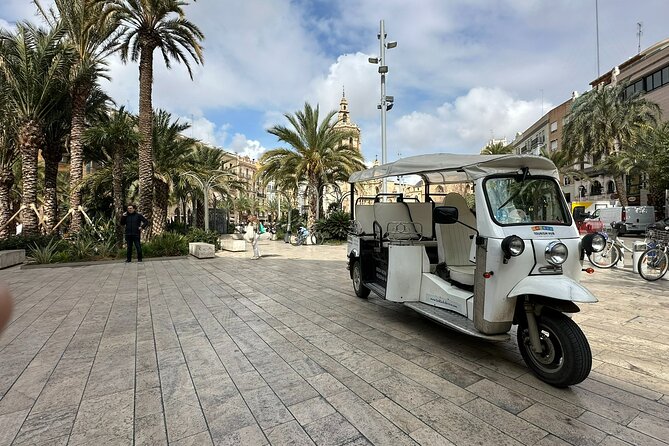 Valencia: Visit the Historic Center of Valencia in Tuk Tuk - What this one-hour ride is really for